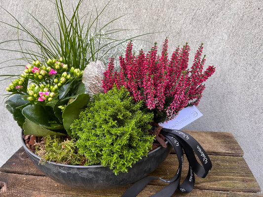 Pink Planter